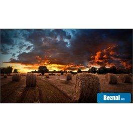 �������������� ������ Samsung VM46B-U LH46VMBUBGBXCI