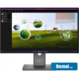 �������� Lenovo ThinkVision P27Q-40 64A7GAT6EU
