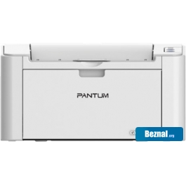 �������� � ��� Pantum P2200