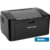 �������� � ��� Pantum P2207