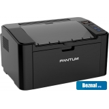 �������� � ��� Pantum P2516