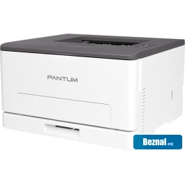 ������� Pantum CP1100